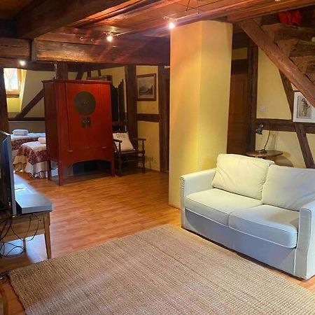 Le Majestueux Dans Le Centre Historique Appartement Riquewihr Buitenkant foto