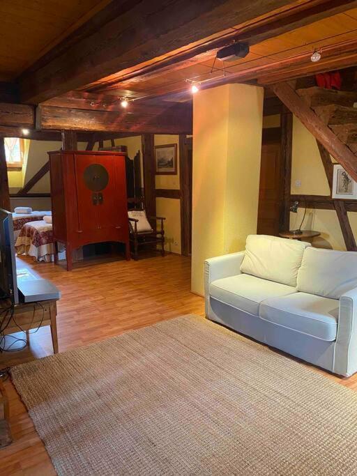 Le Majestueux Dans Le Centre Historique Appartement Riquewihr Buitenkant foto
